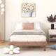 Option Walnut