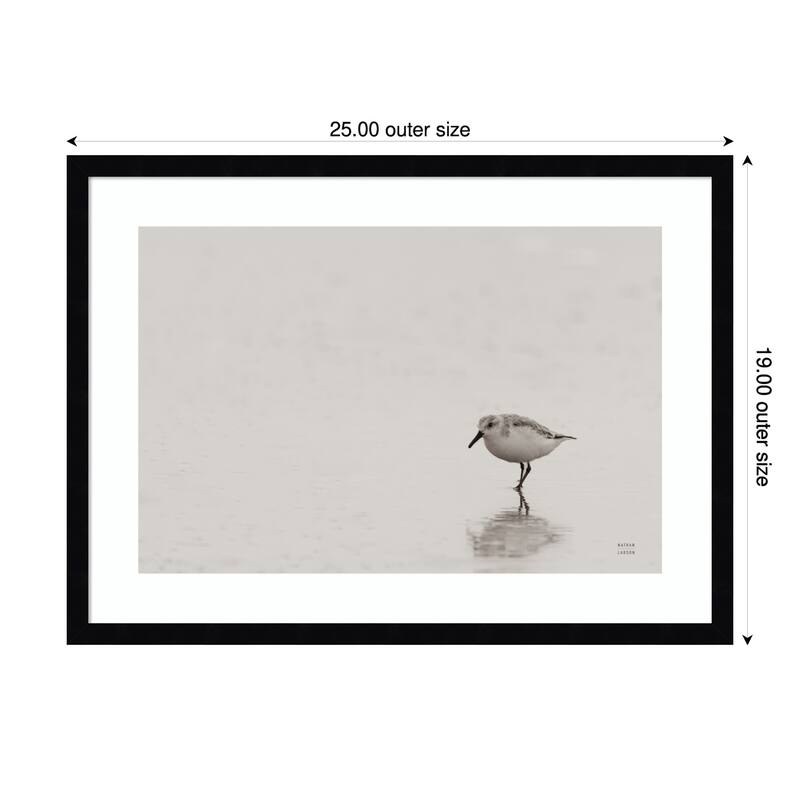 Tybee Island Sanderling by Nathan Larson Wood Framed Wall Art Print - 25 x 19 in - Black