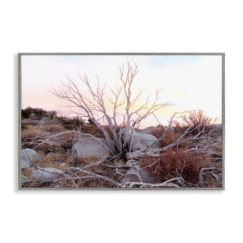 Stupell Rocky Foothills Terrain Framed Giclee Art Design By Gemma Bardot - 24 x 16 - Grey