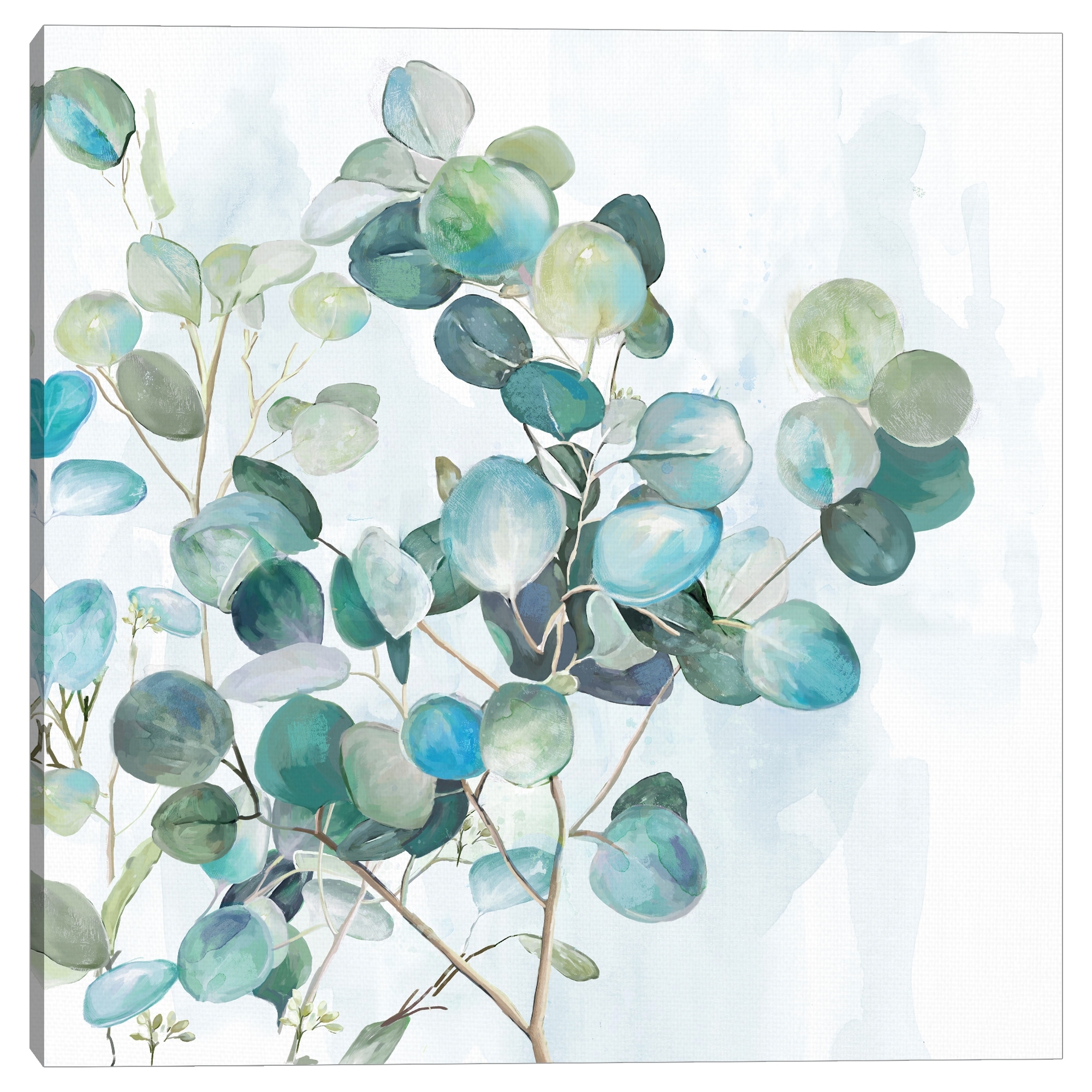 Eucalyptus in Pastel by Carson Lyons Canvas Art Print