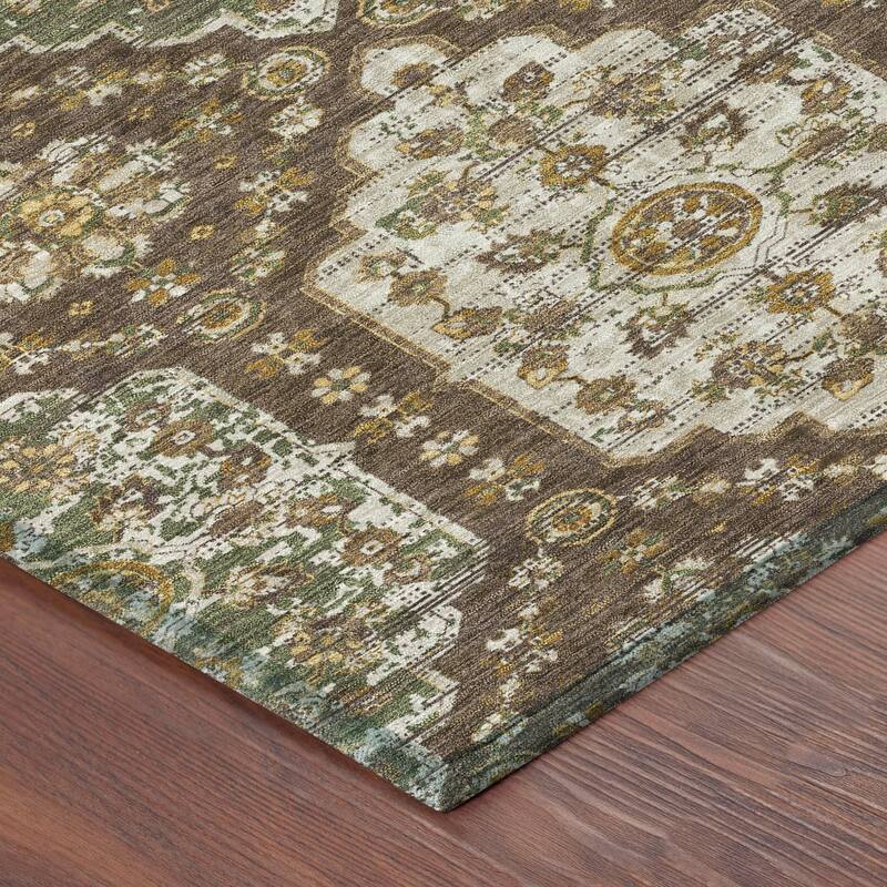 Machine Washable Indoor/ Outdoor Traditional Kiowa Chantille Rug