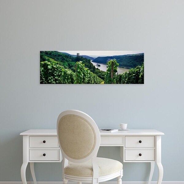 Easy Art Prints Panoramic Images's 'Vineyard in Bacharach along River Rhine, Rhineland