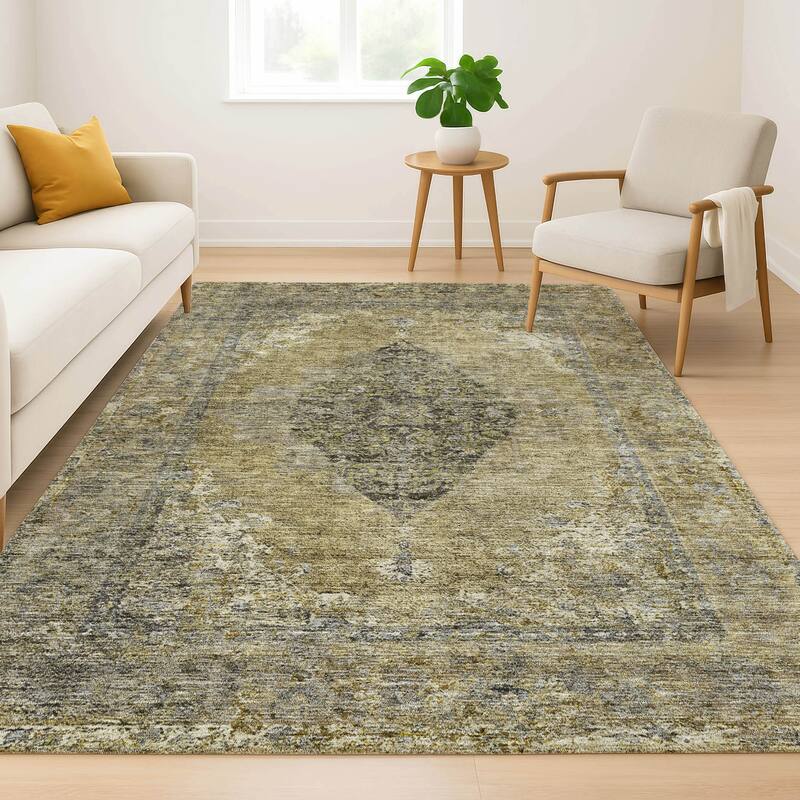 Premium Washable Super Soft Vintage Traditional Mayfield Rug
