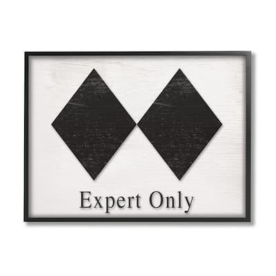 Stupell Double Black Diamond Ski Sport Symbol Experts Only Framed Wall Art