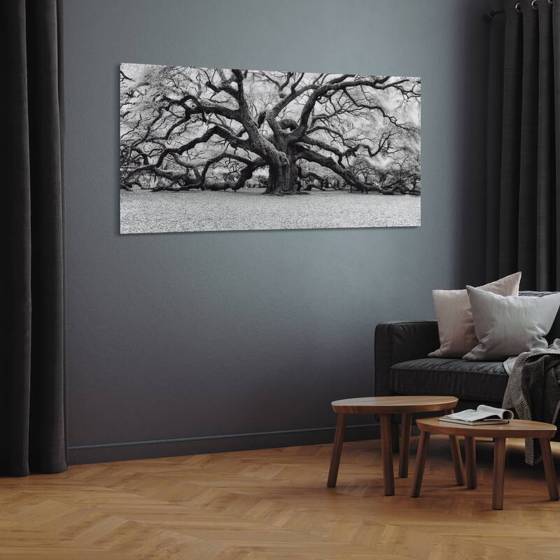 "The Angel Oak" Frameless Free Floating Tempered Art Glass Wall Art by EAD Art Coop