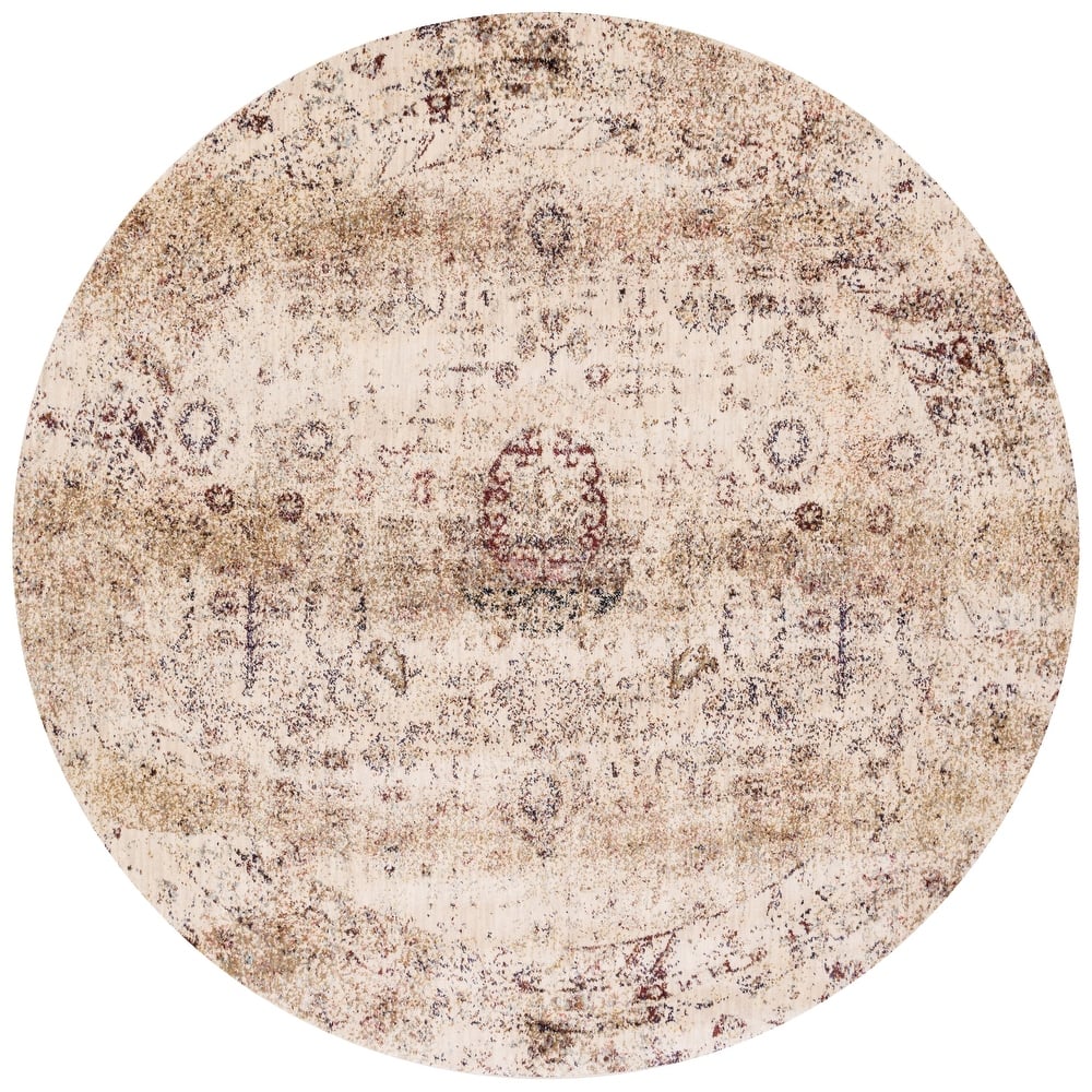 Alexander Home Contessa Botanical Distressed Area Rug