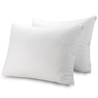 best bed bug pillow protector