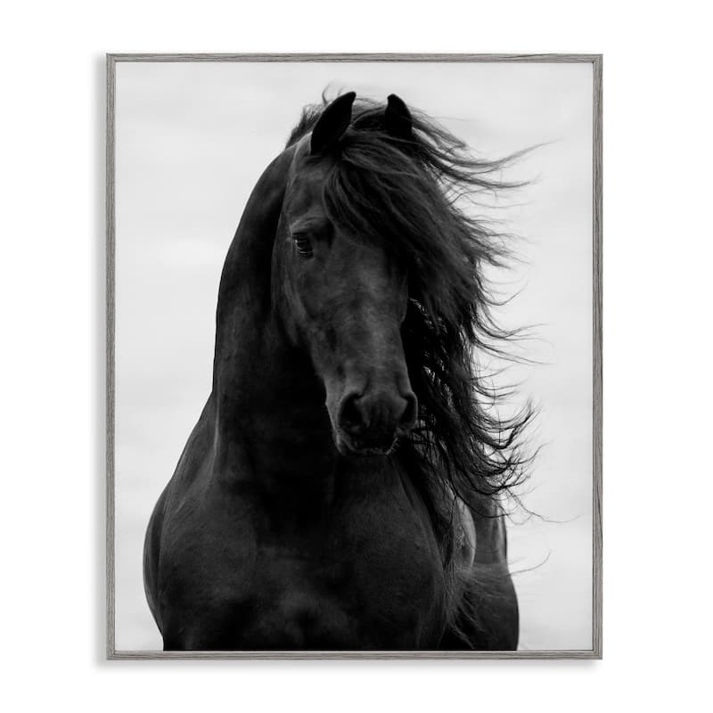 Stupell Black Stallion Horse Portrait Soft Grey Sky Photography Framed Wall Art
