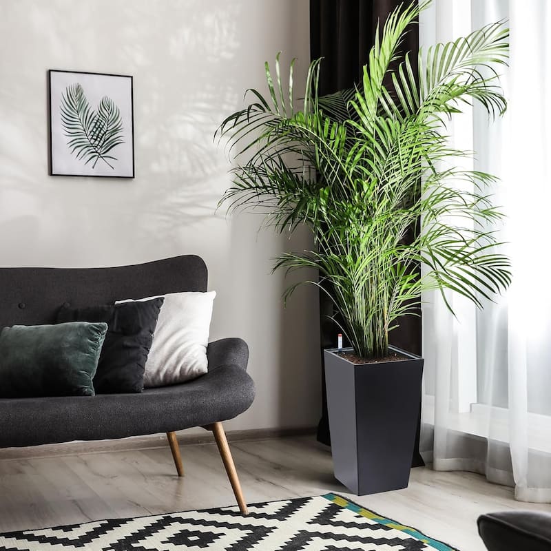 2-Pack 16-Inch Tall Planters with Drainage Holes Water Level Monitor and Inner Bucket Black