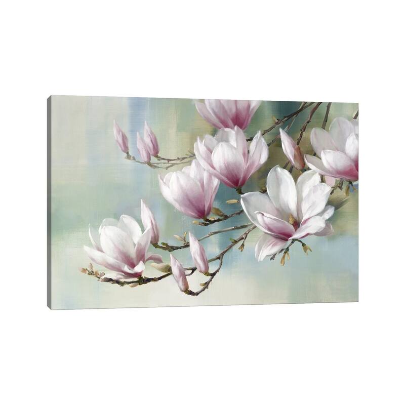 iCanvas "Magnolia Morning" by Rogier Daniels Canvas Print