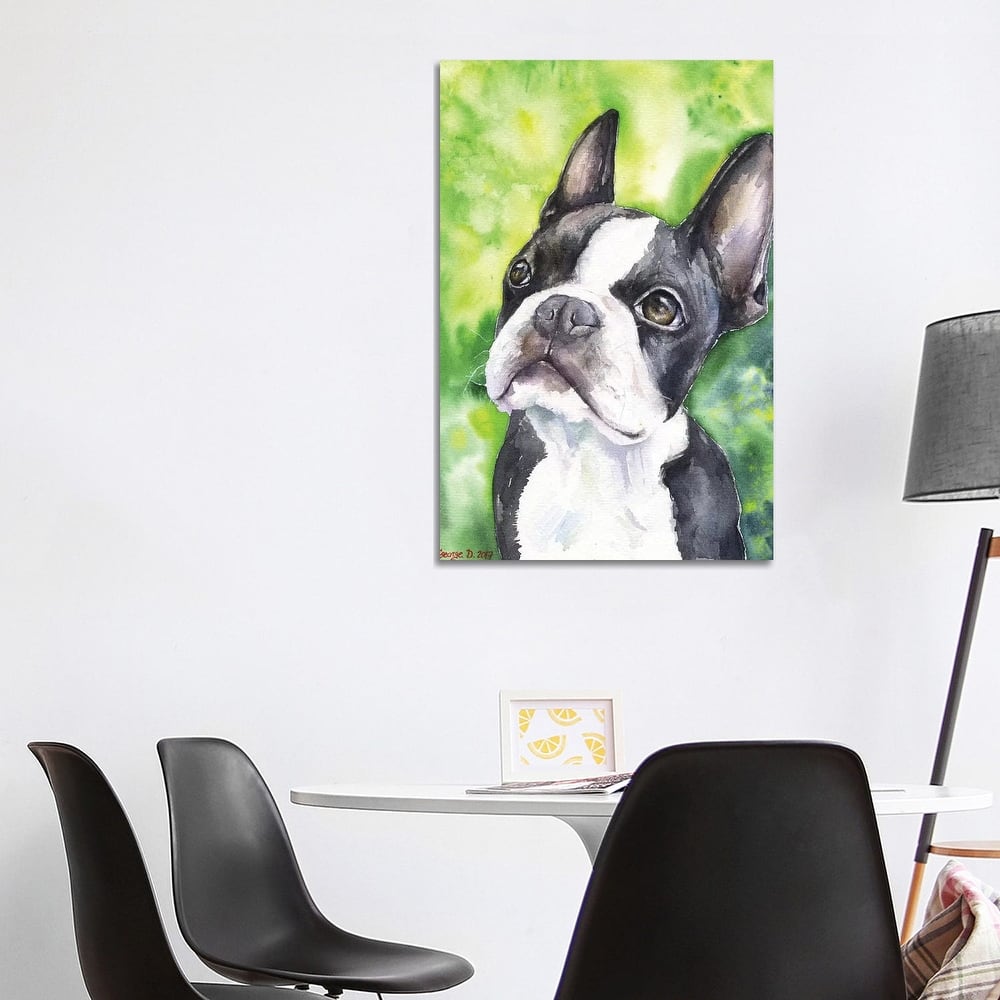 iCanvas "Boston Terrier Portrait" by George Dyachenko Canvas Print