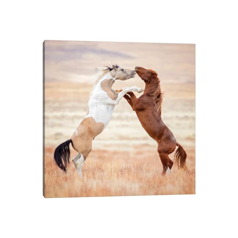 iCanvas "Collection of Horses VIII" by PHBurchett Canvas Print