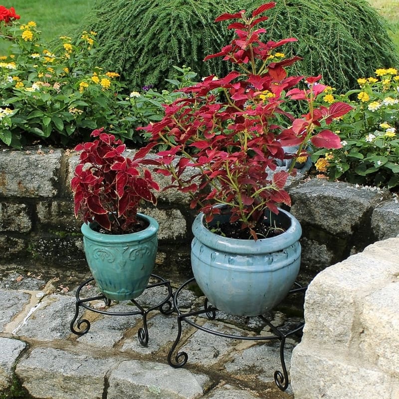 Achla Designs Large Short Piazza Plant Stand, 17 Inch Diameter, Black Powder Coat Finish