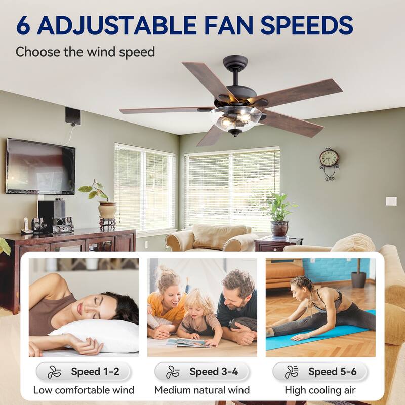 52" Farmhouse 2-Light Ceiling Fan with Glass Shade and Remote(5-Blade)