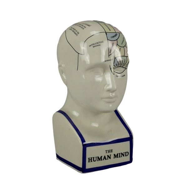 Phrenology Head With Colored Map Ceramic Coin Bank - 7.5 X 3.5 X 4.25 inches