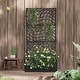 preview thumbnail 2 of 3, Different patterns Iron Planting Box Climbing Frame with Privacy Screen