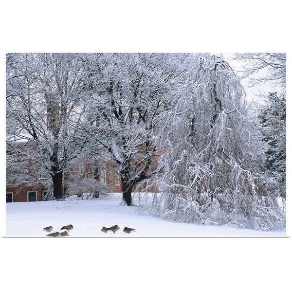 Poster Print /"Large snowflakes of first snow falling in deciduous forest/"