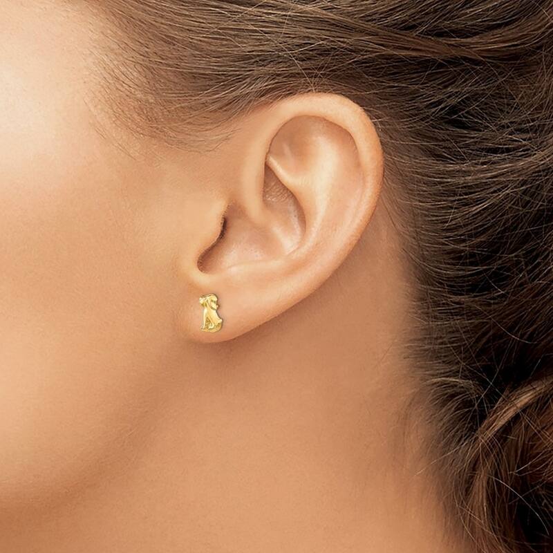 Curata Solid 14k Yellow Gold Childrens Polished Dog Post Earrings (5mmx8mm) - Orange