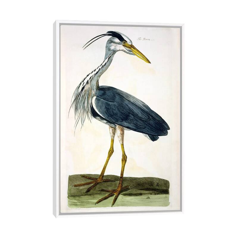 iCanvas "The Heron " by Peter Paillou Framed Canvas Print - White - 48x32
