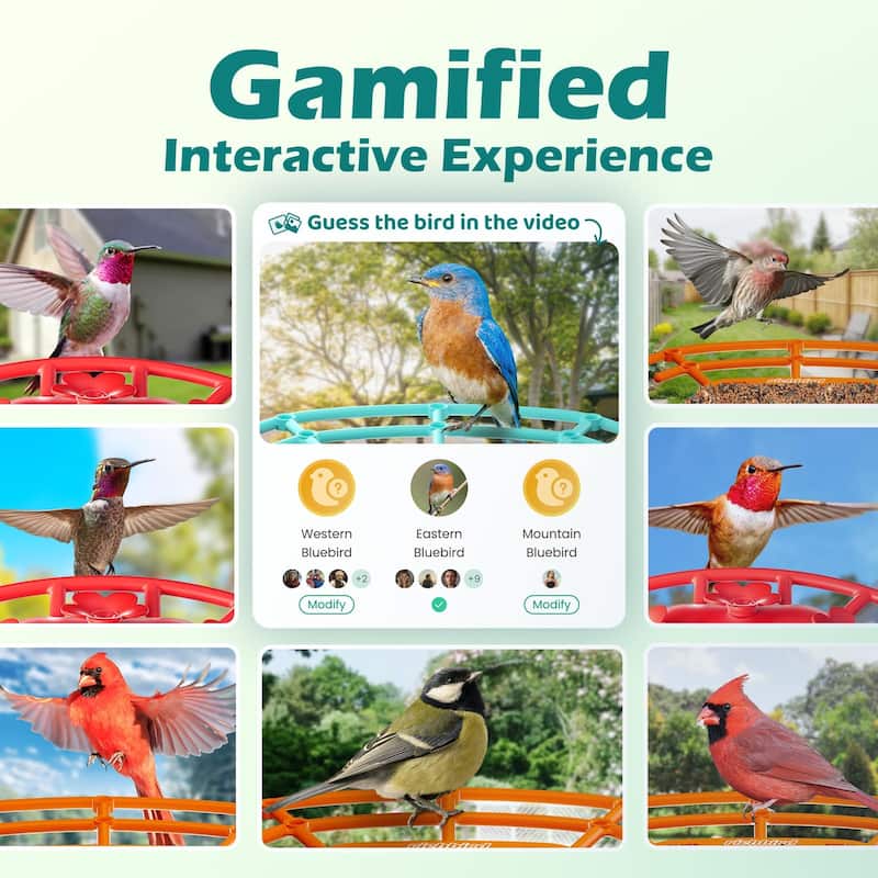 Smart Solar Bird Feeder with Camera and Interactive App