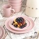 preview thumbnail 39 of 39, Stone Lain Albie Glaze Stoneware Round Dinnerware Set Pink - 16 Piece