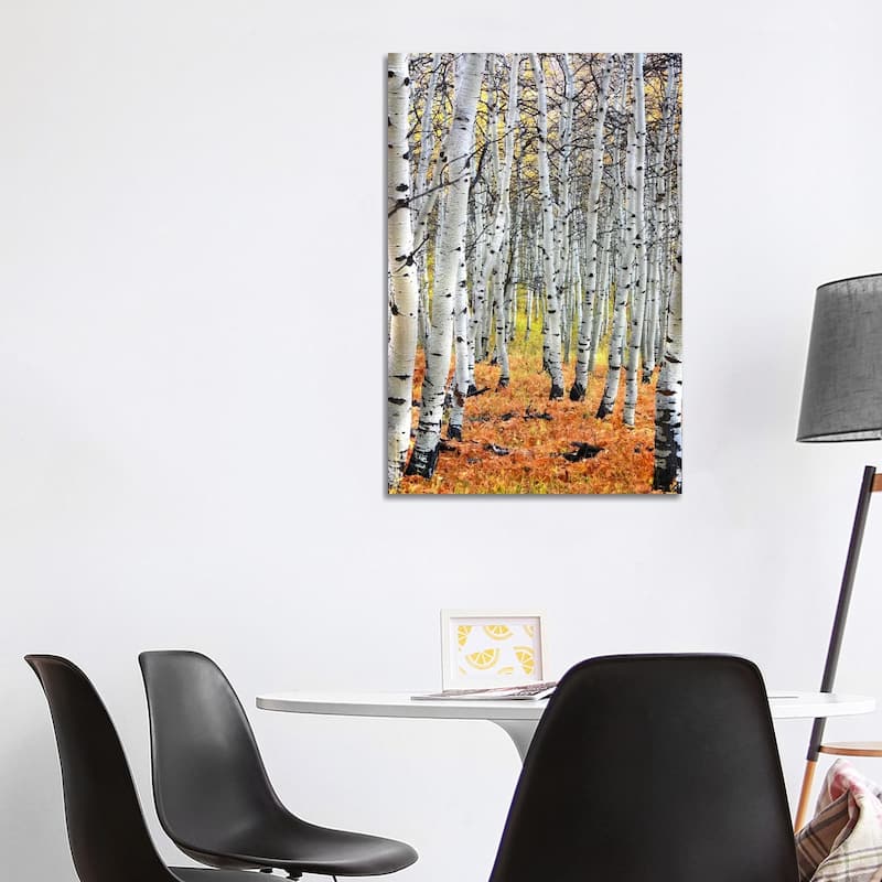 iCanvas "Autumn In Aspen" by Unknown Artist Canvas Print - 40x26x1.5