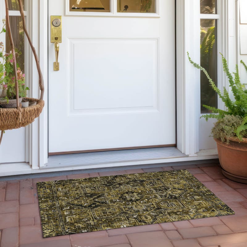 Machine Washable Indoor/ Outdoor Traditional Boho Chantille Rug