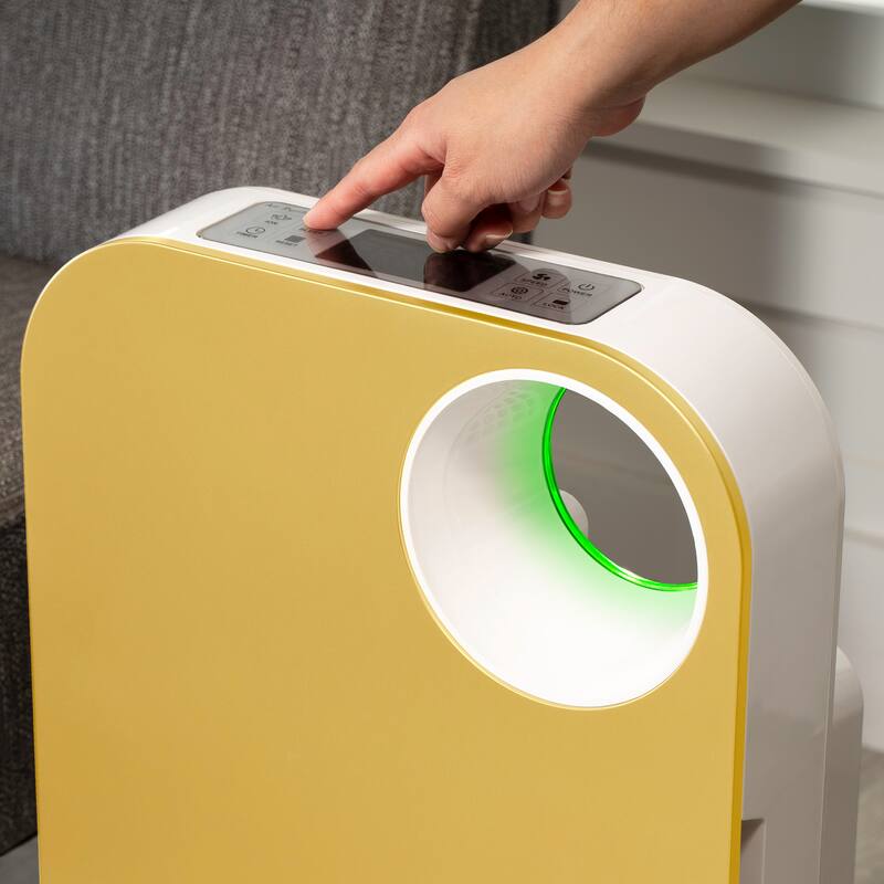 OVAL AIR 3-Stage H13 True HEPA 5-in-1 Air Purifier for Rooms up to 600 sq. ft. reduces Allergies, Asthma, Pets, Odor, Smoke