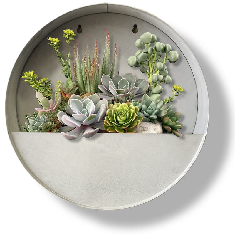 Modern Home Round Living Wall Mounted Galvanized Steel/Zinc Succulent/Herb Planter - Indoor/Outdoor Living Art Potting Vessel - Aged Zinc - Medium 12" x 3.5"