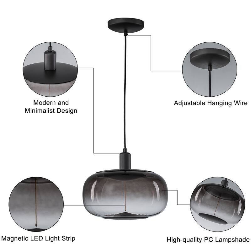 Smoke Gradient Clear Plastic LED Globe Pendant Light