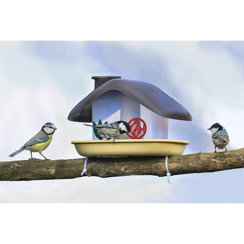 Recycled Plastic Bird Feeder, Brown