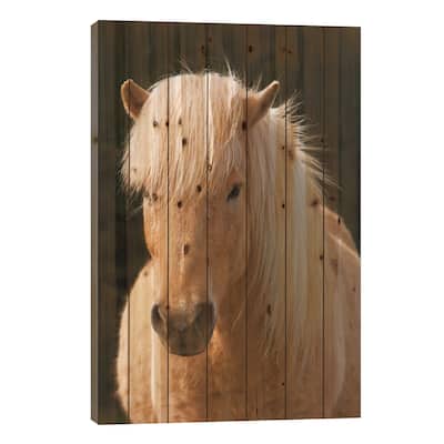 Iceland. Icelandic horse in sunset light IV Print On Wood by Jaynes Gallery - Multi-Color