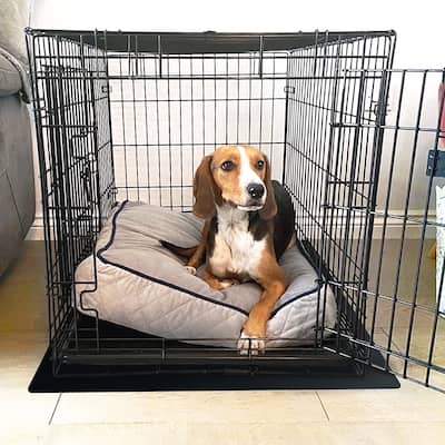 Floortex® P-Tex Polypropylene Pet Crate Floor Protection Mat - Medium - 20" x 26" - Black - 20" x 26"