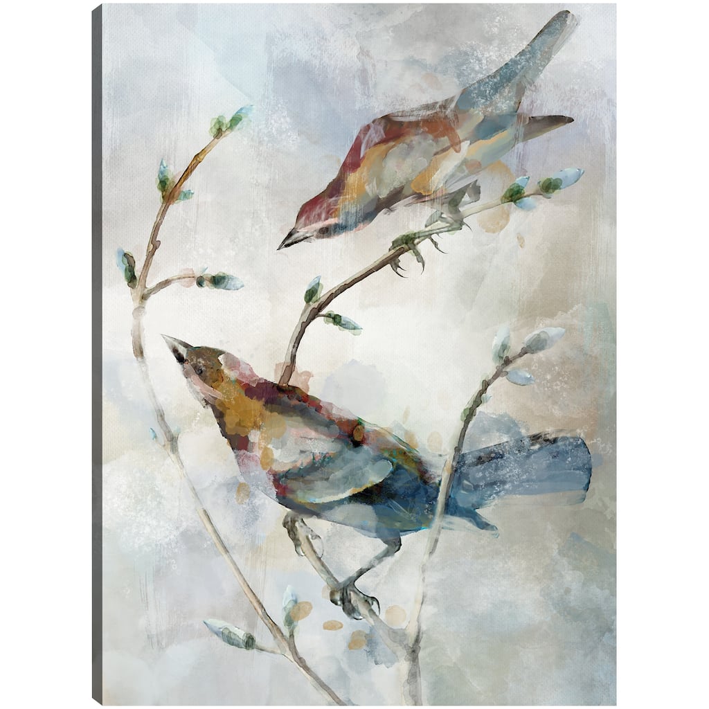 Perched Pairings I By Studio Arts Canvas Art Print
