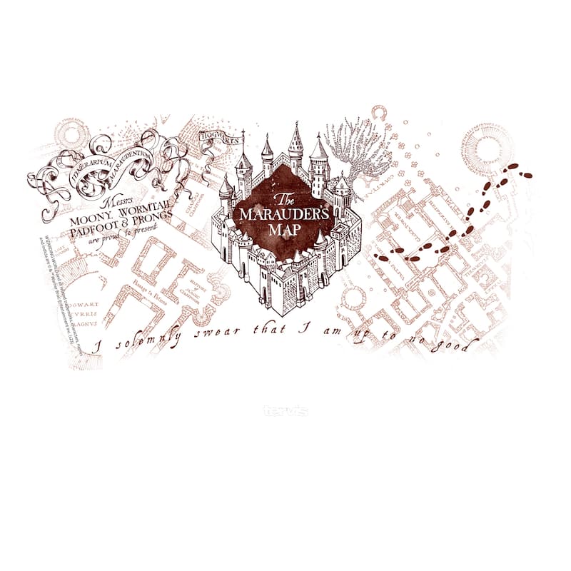 Tervis Harry Potter The Marauder's Map Made in USA Double Walled Insulated Tumbler Travel 24oz, Classic