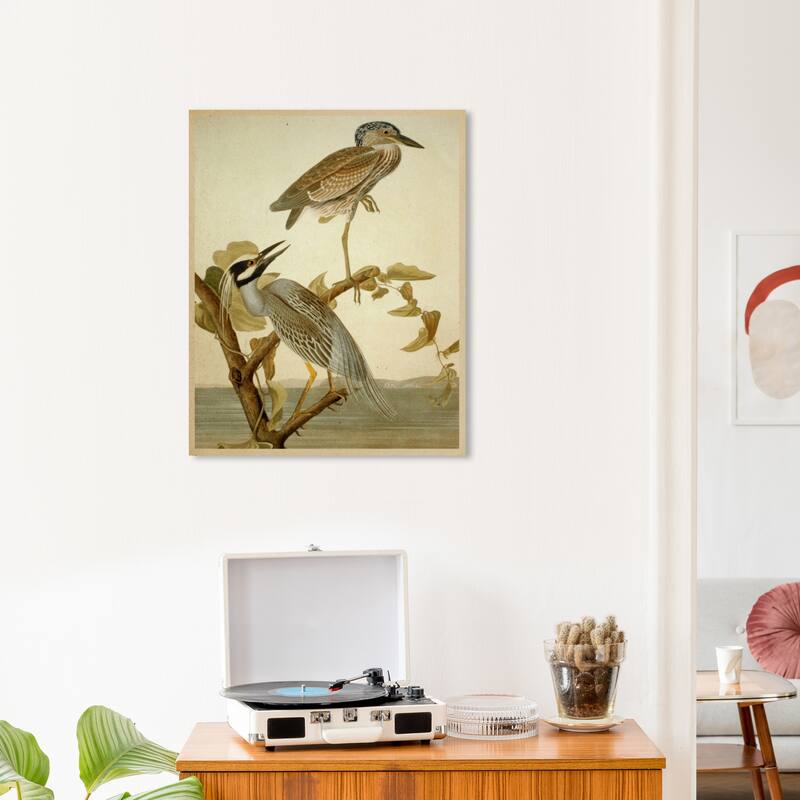 Wynwood Studio Canvas Animals Herons of The Americas White and Cream White Traditional Wall Art Canvas Print - 24 x 20