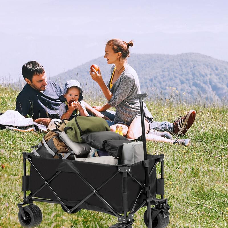 Collapsible Folding Wagon with Big All-Terrain Beach Wheels, Adjustable Handle