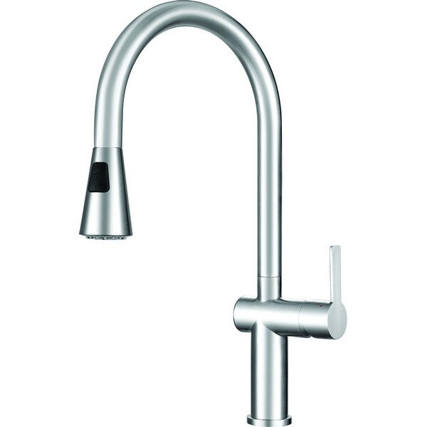 Shop Franke Ff20750 Bern Pull Down Spray Kitchen Faucet Includes