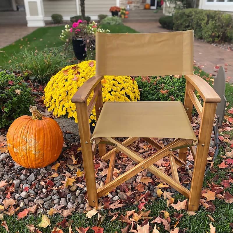 Director's Chair