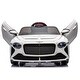 preview thumbnail 17 of 40, Kids Ride On Car