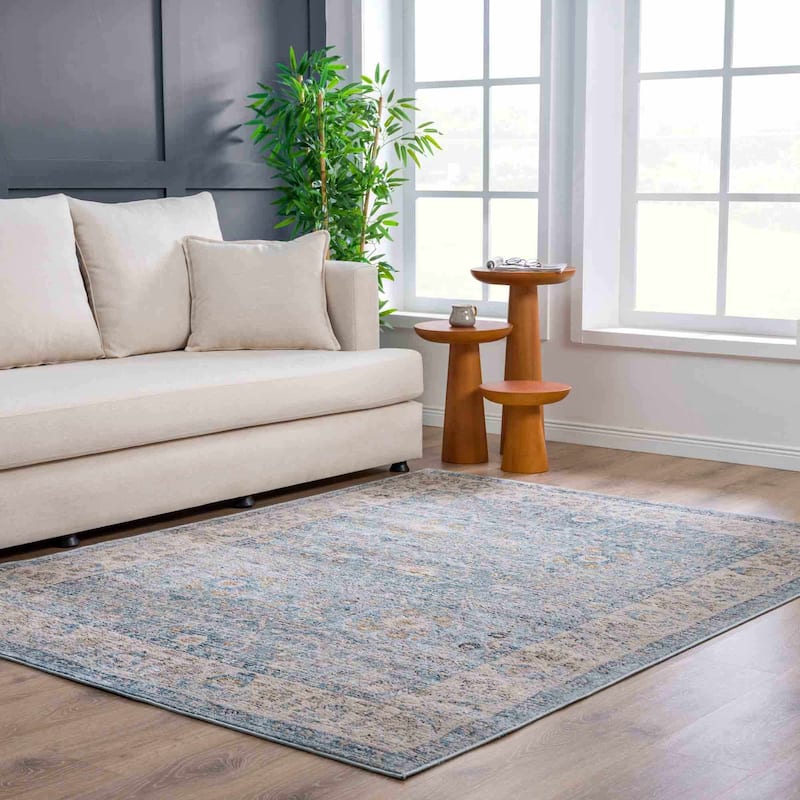 Hauteloom Anana Traditional Oriental Vintage Area Rug