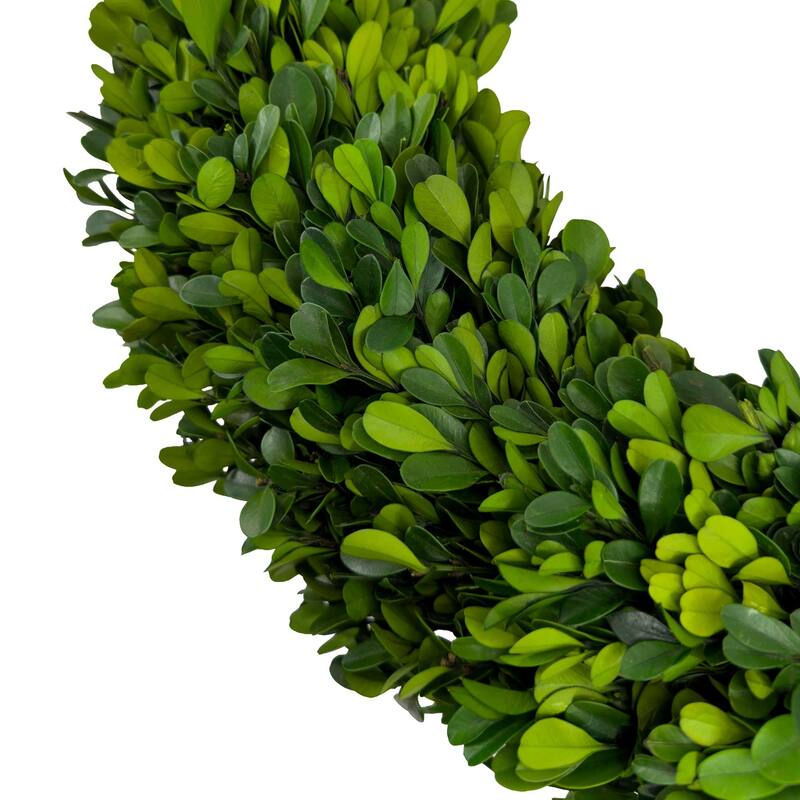 Maison 24" Handcrafted Real Preserved Boxwood Wreath
