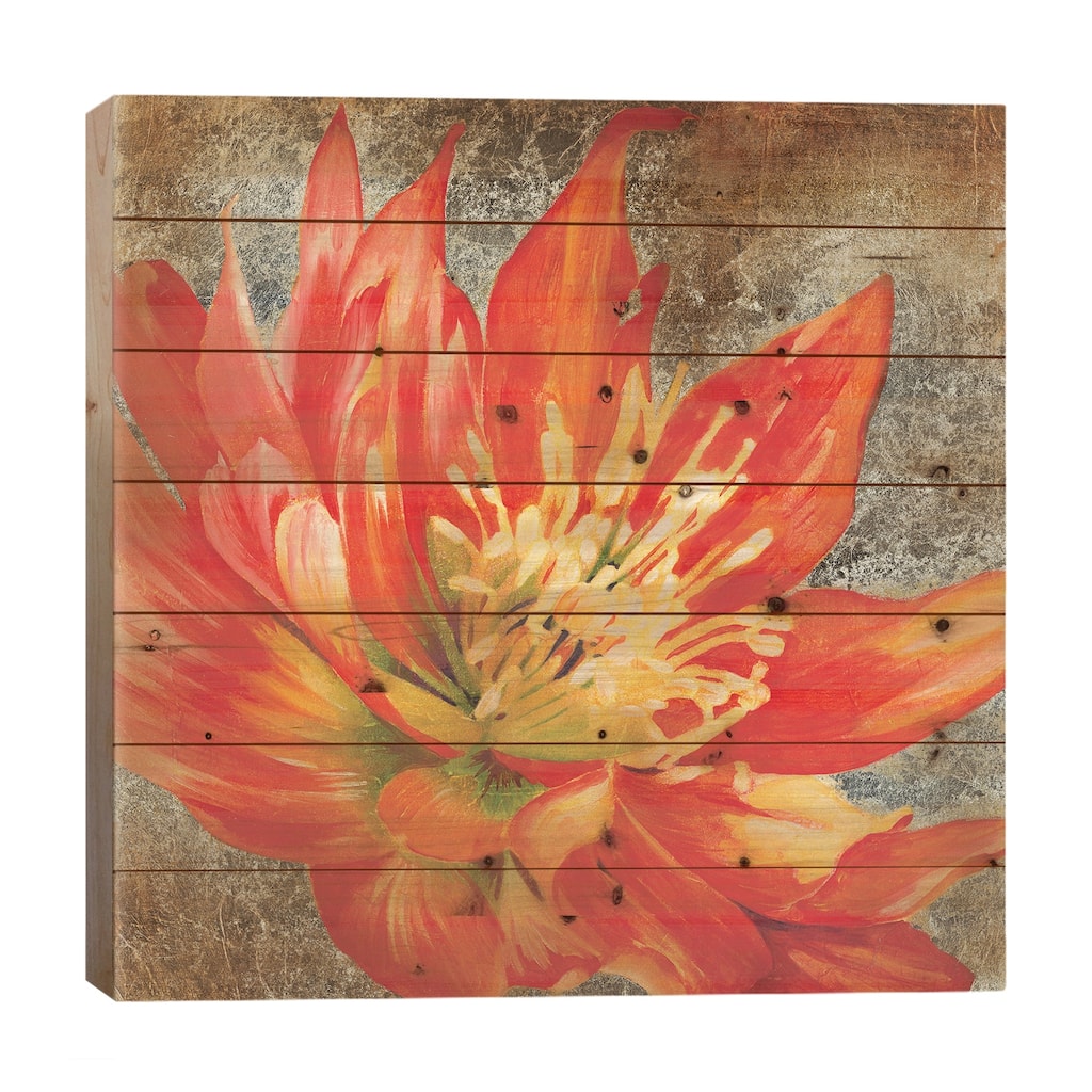 Antique Botanicals I Print On Wood by Liz Jardine - Multi-Color