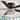 Airsurfer 52" Low Profile Ceiling Fan with Light and Remote(5-blade) - 52in