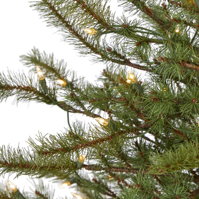 4' Vancouver Mountain Pine Christmas Tree with 100 Clear Light - Green