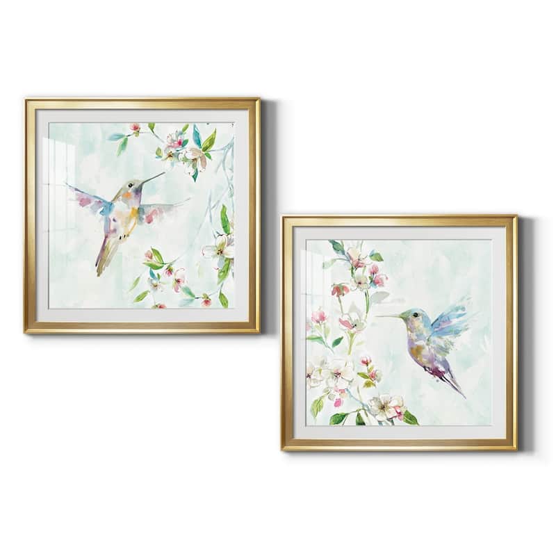 Hummingbird I Premium Framed Print - Ready to Hang