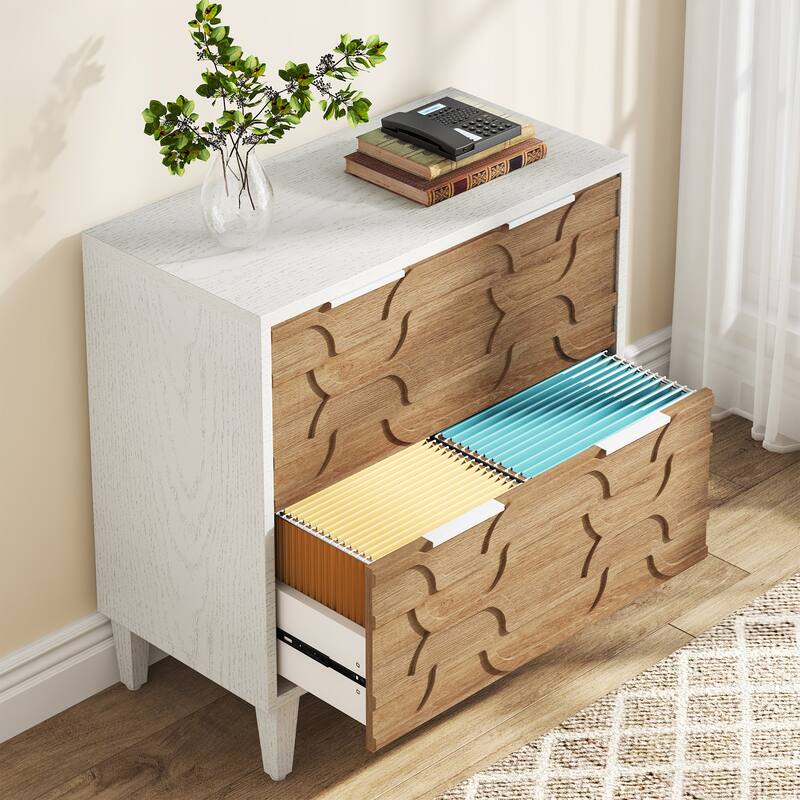 2 Drawer File Cabinet for Home Office, Filling Cabinet for A4/Letter/Legal Size