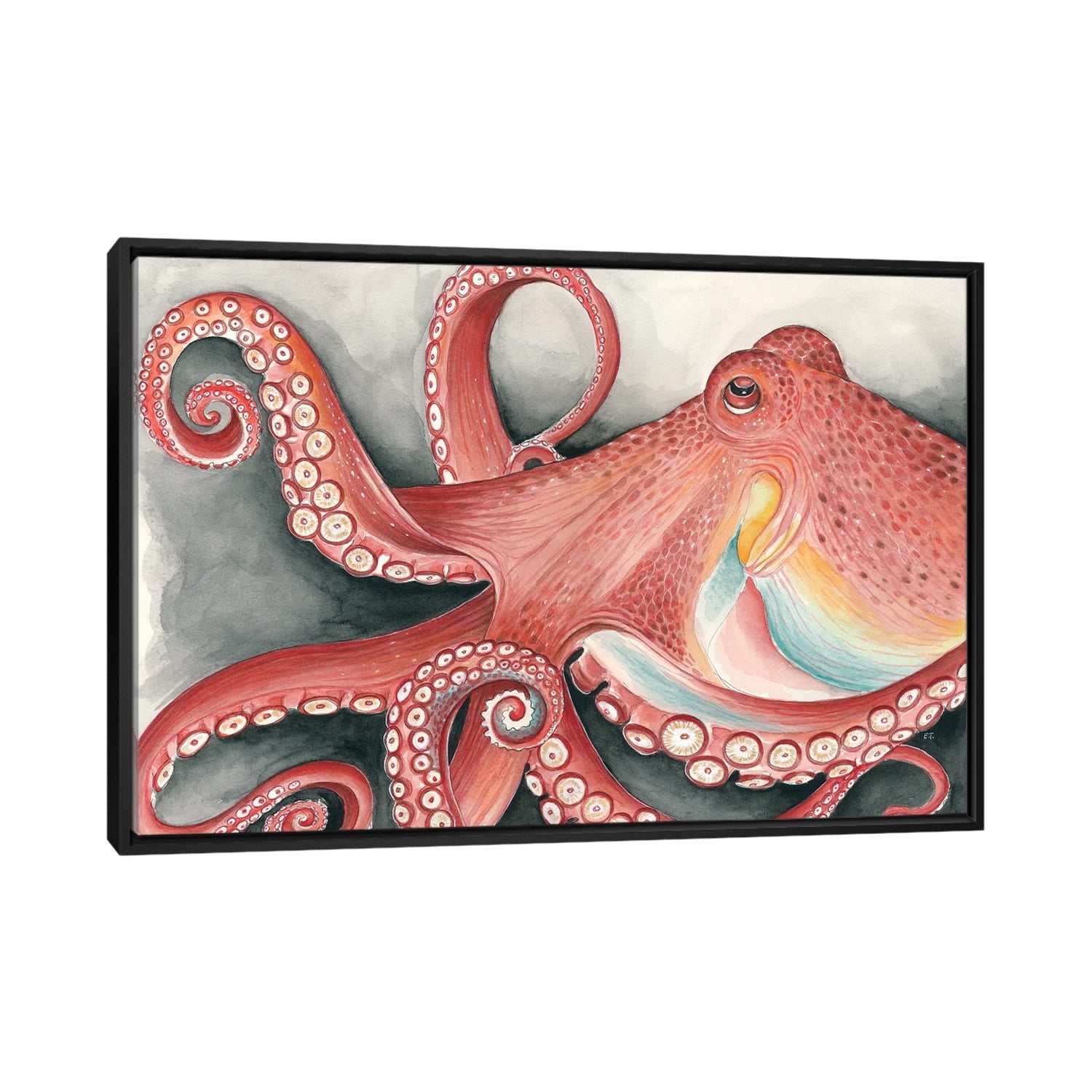 Brown Octopus Blue Eye Black Watercolor Outdoor Rug by Seven Sirens Studios