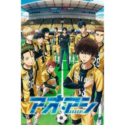 Ao Ashi Esperion FC Art Poster - 24 x 36 Inch