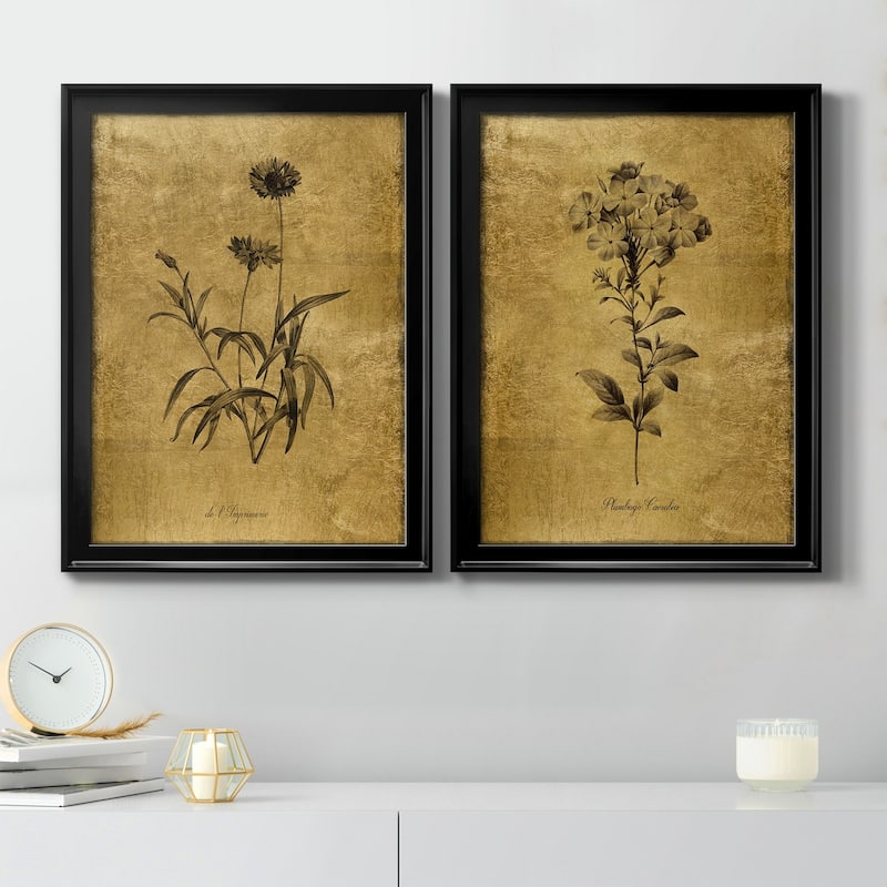 Gold Sketch Botanical I Premium Framed Print - Ready to Hang - Multi-Color